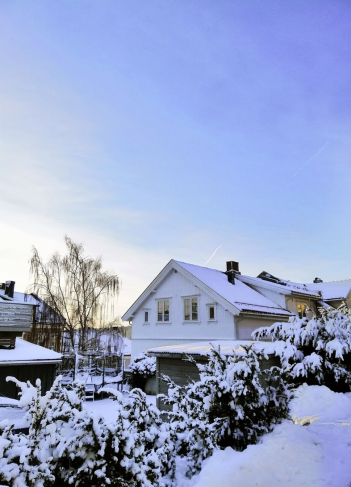 houses-surrounded-by-trees-cover